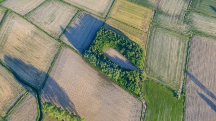 Het Middeleeuwse millennium. Een kijk vanuit de Vlaamse Bodem | prof. Wim de Clercq